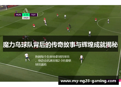 魔力鸟球队背后的传奇故事与辉煌成就揭秘