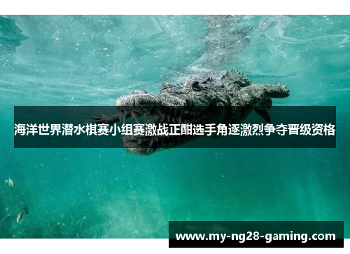 海洋世界潜水棋赛小组赛激战正酣选手角逐激烈争夺晋级资格 海洋世界潜水棋赛小组赛激战正酣选手角逐激烈争夺晋级资格