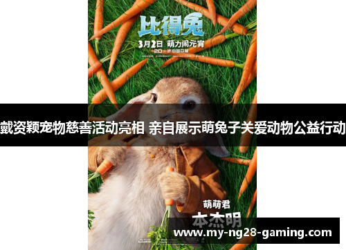 戴资颖宠物慈善活动亮相 亲自展示萌兔子关爱动物公益行动